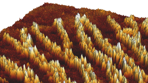 A microscope image. Elongated, ridge-like structures extend from the bottom right to the top left. They are dark brown in low areas with yellow and white at pointed, high areas.