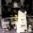 A photo. The image shows a white microscope with black ocular lenses on a black table. On its bottom there are black knobs, a digital display with red numbers, and two yellow labels.