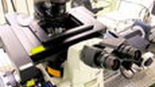 A photo. A white microscope with black ocular lenses stands on a metallic table with small holes. It has black components, and yellow warning labels. In the background are other instruments.