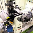 A photo. A white microscope with black ocular lenses stands on a metallic table with small holes. It has black components, and yellow warning labels. In the background are other instruments.