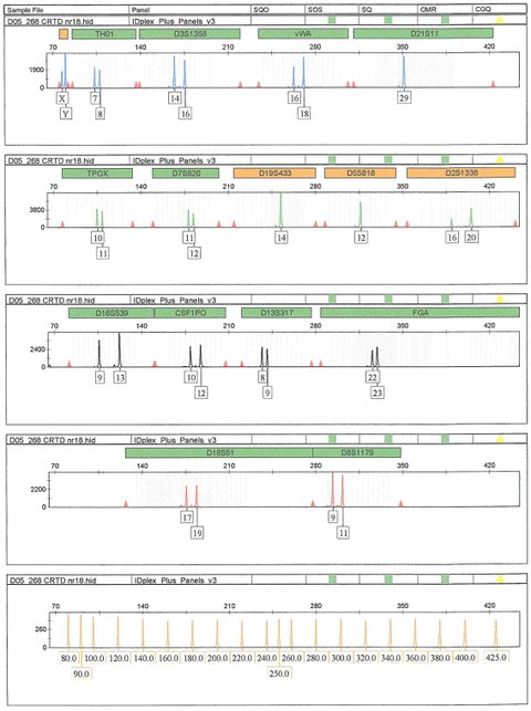 Short tanden repeat (STR) analysis of 16 genomic loci in the CRTD5 human iPSC line.