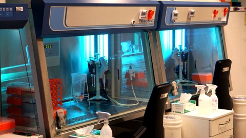 Laminar flow hoods in the Stem Cell Engineering Facility with UV light for sterilization.