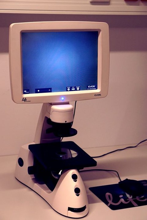  EVOS® XL Core Mikroskop (ThermoFisher Scientific) 