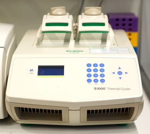 S1000™ Thermo Cycler (BIO-RAD laboratories) 