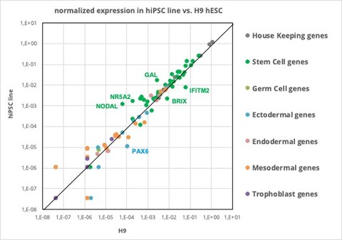 Dot plot of 96 genes expressed in human iPSCs compared to the control hESC line H9 measured by quantitative reverse transcription polymerase chain reaction (qRT-PCR).