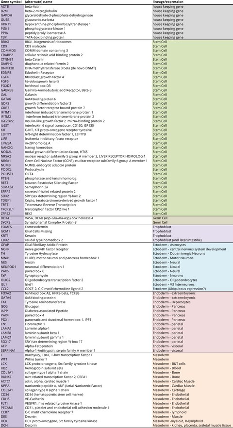 List of 96 genes analysed by qRT-PCR.
