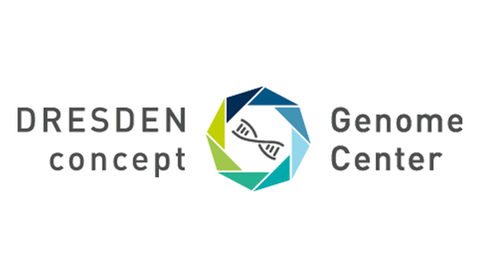 A logo. Eight irregular triangles are arranged clockwise in a color gradient from dark blue to light green to form a regular octagonal ring. Inside is a symbol representing DNA. To the left of the ring is the two-line lettering "DRESDEN concept". To the right of the ring, the two-line lettering "Genome Center"