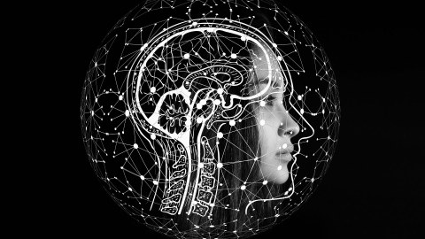Stilisierte Darstellung einer künstlichen Intelligenz auf schwarzem Hintergrund. Im Profil ein Gesicht und ein Gehirn mit einem verzweigten Datennetzwerk