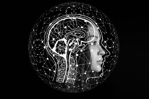 Stilisierte Darstellung einer künstlichen Intelligenz auf schwarzem Hintergrund. Im Profil ein Gesicht und ein Gehirn mit einem verzweigten Datennetzwerk