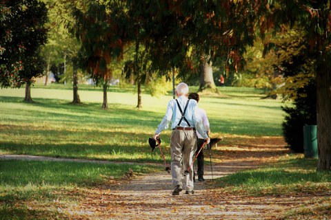 Ein Foto von einem Weg in einem begrünten Park mit vielen Bäumen. Auf dem Weg laufen zwei ältere Menschen hintereinander mit Nordic Walking Stöcken. 