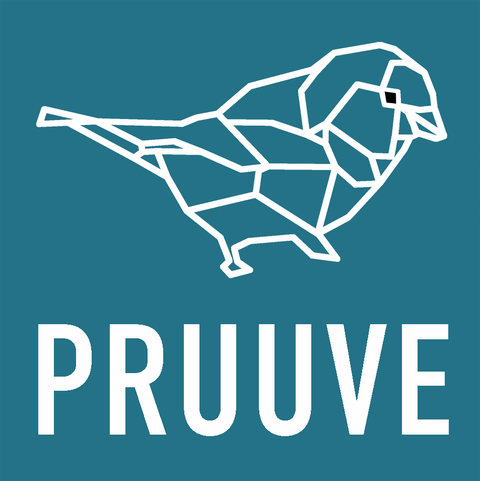 Logo Pruuve