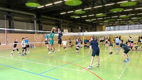 Foto: in einer Sporthalle mit grünem Fußboden spielen mehrere Personen Volleyball