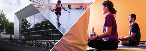 Fotocollage: Sporthalle, Sportler beim Ballspiel, Sportler beim Yoga