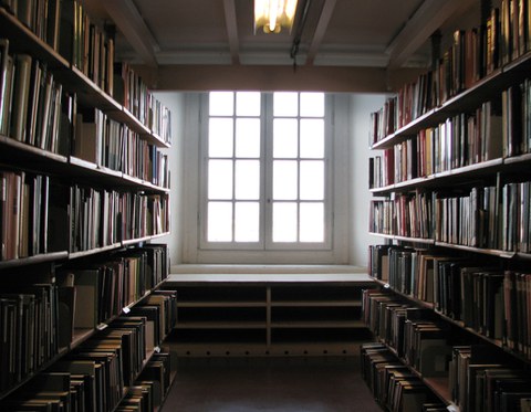 Foto: Blick auf ein Fenster mit weißen Unterteilungen, links und rechts stehen Regale mit Büchern