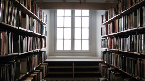 Foto: Blick auf ein Fenster mit weißen Unterteilungen, links und rechts stehen Regale mit Büchern