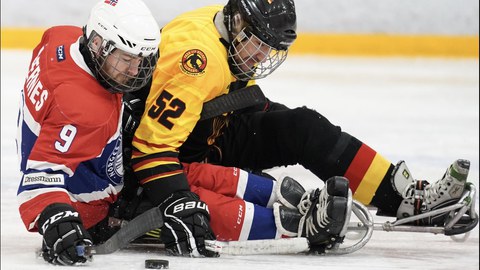 Foto: Zwei Para-Eishockeyspieler auf Schlitten auf dem Eis