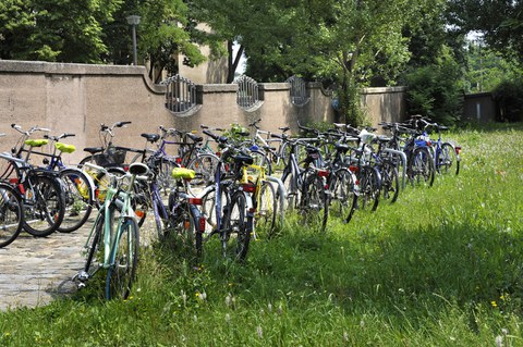 Foto: Fahrräder in zwei Reihen im Fahrradständer vor einer Mauer