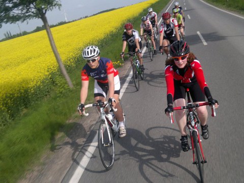 Foto: Gruppe von Rennradfahrern auf Straße, dahinter ein blühendes Rapsfeld