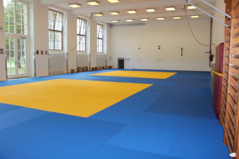 Foto: Raum mit blauen und gelben Matten auf dem Fußboden (Dojo Weberbau)