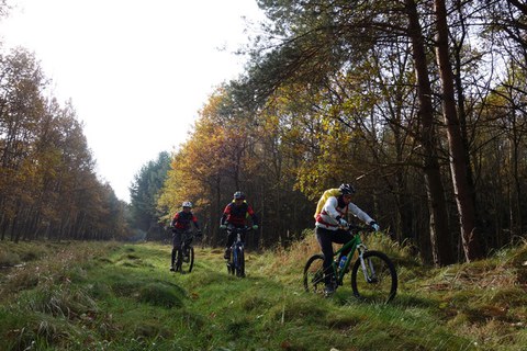 Pfefferkuchentour 2017