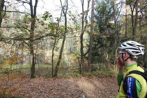 Pfefferkuchentour 2019