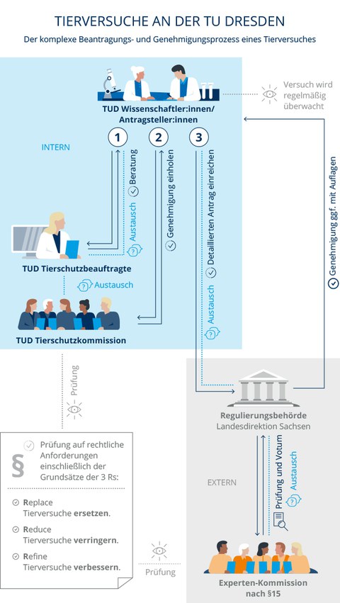 Genehzmigungsverfahren für Tierversuche