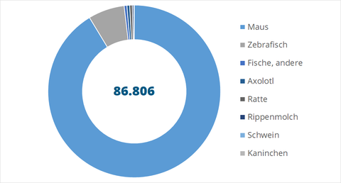 Diagramm zu den Versuchstierzahlen an der TUD 2023