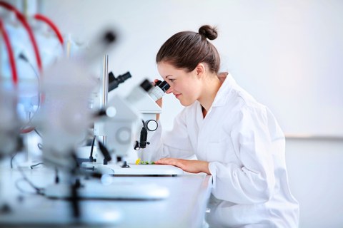 Das Foto zeigt eine Studentin mit Laborkittel. Sie sitzt an einem Tisch und schaut durch ein Mikroskop.