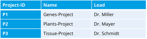 Tabelle zur Übersicht über Projekte mit 3 Spalten: Spalte 1 Project-ID, Spalte 2 Name, Spalte 3 Lead