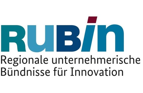 RUBIN - Regionale unternehmerische Bündnisse für Innovation