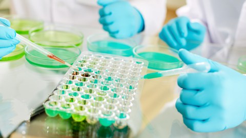 Experiment im Labor