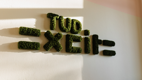 "TUD excite" made of moss on a wall