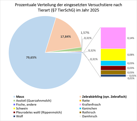 Verteilung 2025