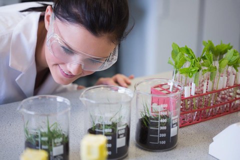 Wissenschaftlerin bei der Arbeit vor Reagenzgläsern