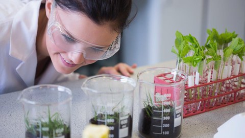 Wissenschaftlerin bei der Arbeit vor Reagenzgläsern