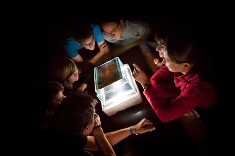 Sieben junge Menschen stehen in einem dunklen Raum um einen erleuchteten transparenten Quader, den sie betrachten.