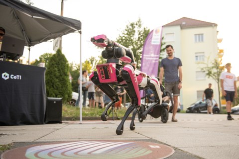 Foto zur Langen Nacht der Wissenschaft 2026