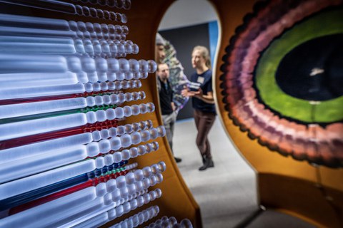 Foto eines Augenmodells bei der Langen Nacht der Wissenschaften. Das Foto zeigt das Innere des Auges. 