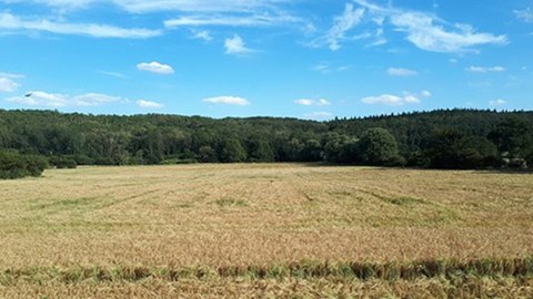 Internationale Verbundvorhaben mit der Ukraine