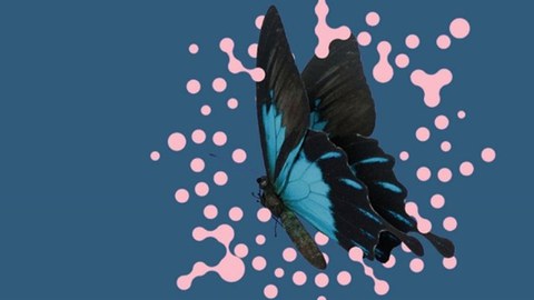 Postdoctoral Fellowships & ERC Starting Grants