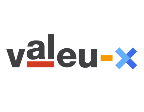 Schriftzug VALEU-X (Virtual Albanien European Universities eXchange)