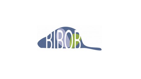 Project BIBOB