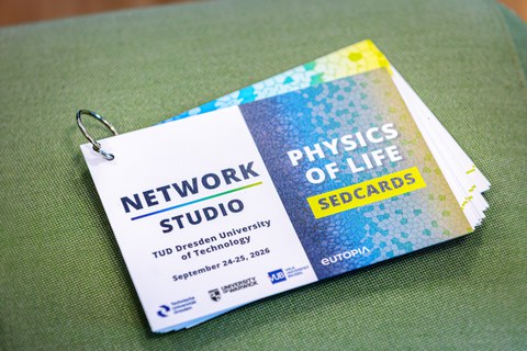 Sedcards des Netzwerkstudios