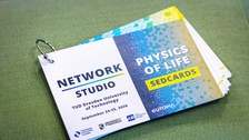 Sedcards des Netzwerkstudios