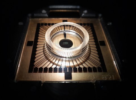 Ambient lighting on a microelectrode array.