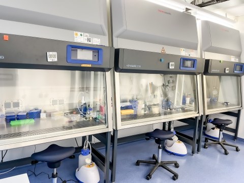 Zu sehen ist das Stem Cell engineering Labor mit Arbeitsplätzen
