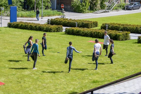 Personen stehen auf Wiese im Kreis und führen eine Bewegungsübung durch