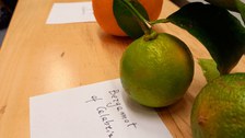 Nahaufnahme einer Bergamottefrucht