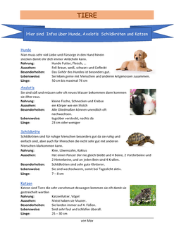 Themenseite Tiere von Max über Hunde, Axolotl, Schildkörte und Katzen