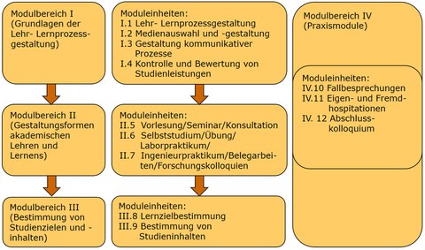 Curriculum E-Didact